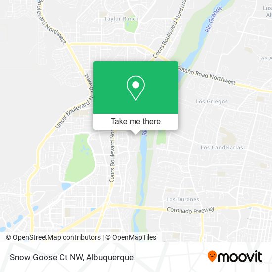 Snow Goose Ct NW map