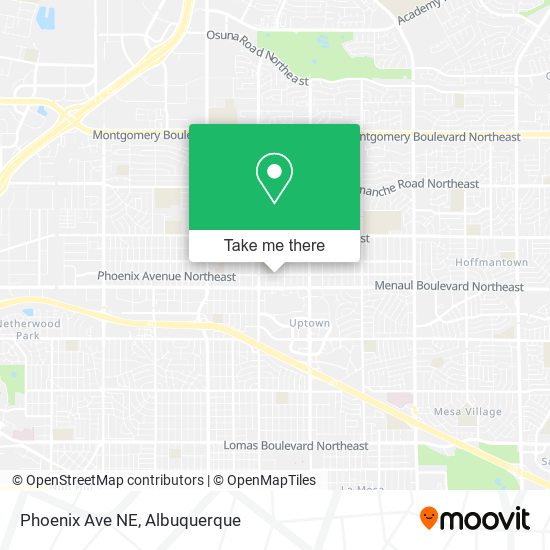 Phoenix Ave NE map