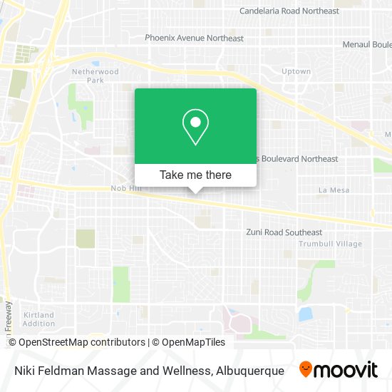 Niki Feldman Massage and Wellness map