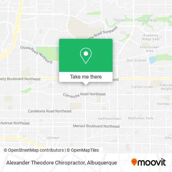 Alexander Theodore Chiropractor map