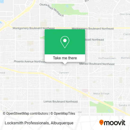 Locksmith Professionals map