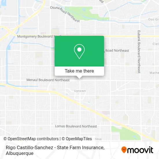 Rigo Castillo-Sanchez - State Farm Insurance map