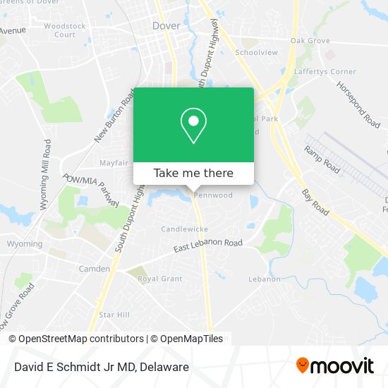 Mapa de David E Schmidt Jr MD