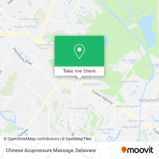 Chinese Acupressure Massage map