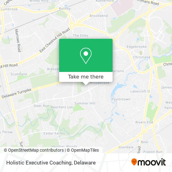 Mapa de Holistic Executive Coaching