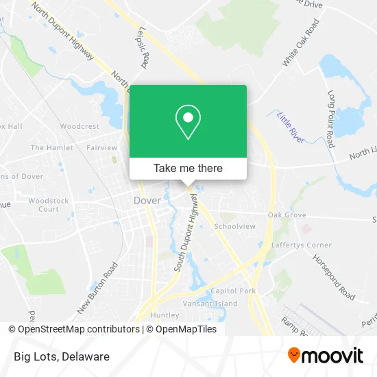 Big Lots map