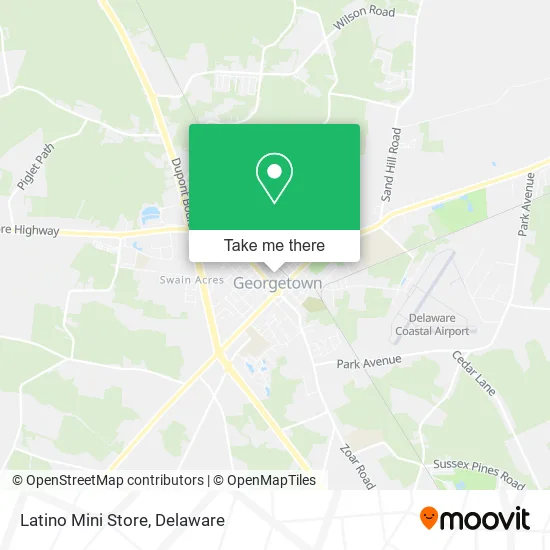 Latino Mini Store map