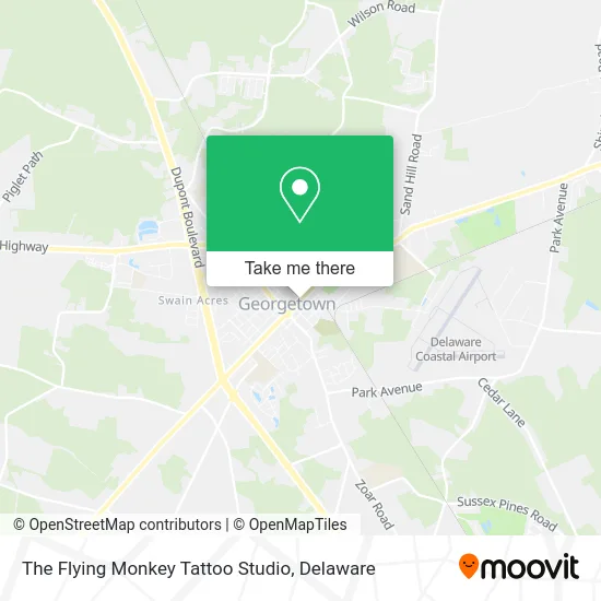 The Flying Monkey Tattoo Studio map