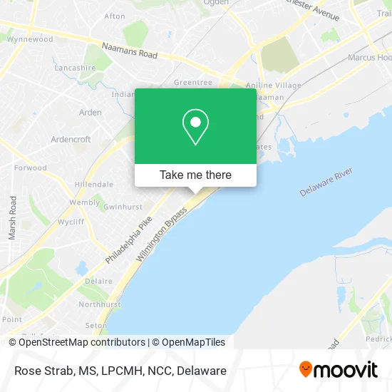 Mapa de Rose Strab, MS, LPCMH, NCC