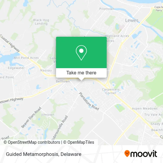 Guided Metamorphosis map