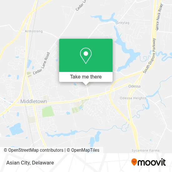 Asian City map