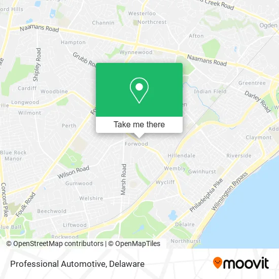Professional Automotive map