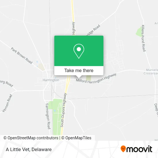A Little Vet map