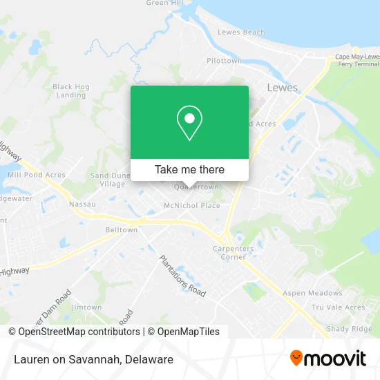 Lauren on Savannah map