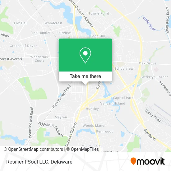 Resilient Soul LLC map