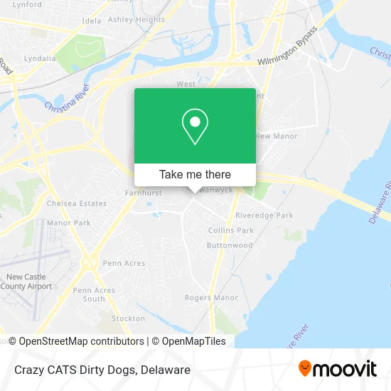 Crazy CATS Dirty Dogs map