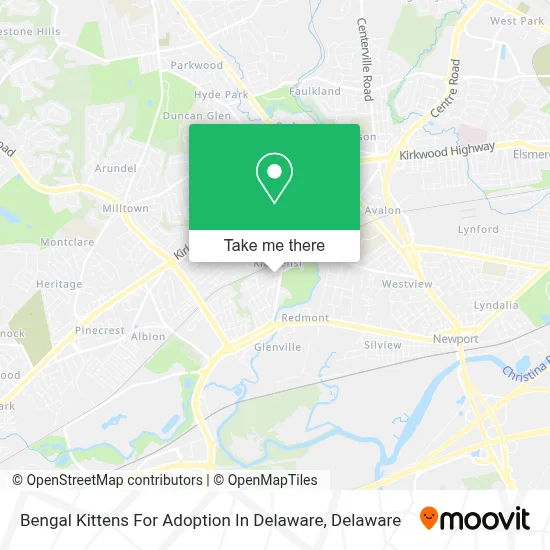Bengal Kittens For Adoption In Delaware map
