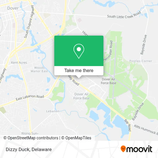 Dizzy Duck map