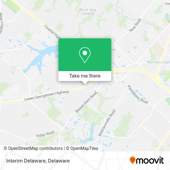 Interim Delaware map
