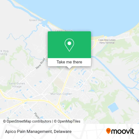 Apico Pain Management map