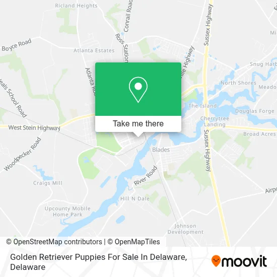 Golden Retriever Puppies For Sale In Delaware map