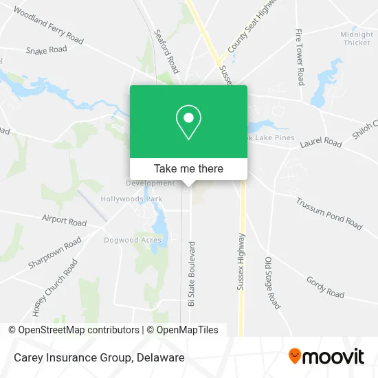 Carey Insurance Group map