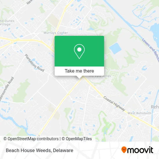 Beach House Weeds map
