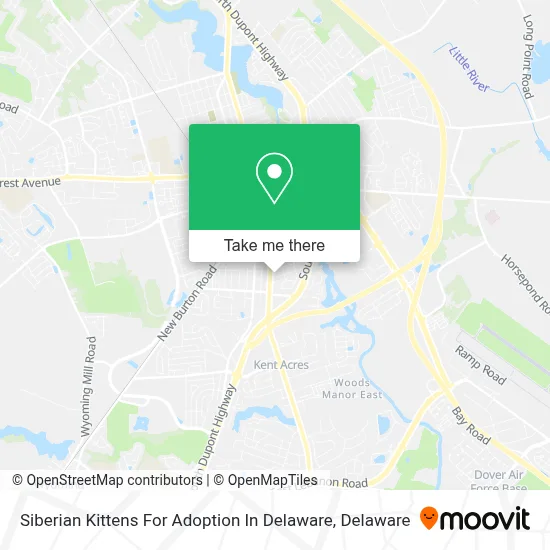Siberian Kittens For Adoption In Delaware map