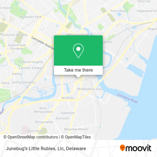 Junebug's Little Rubies, Llc map