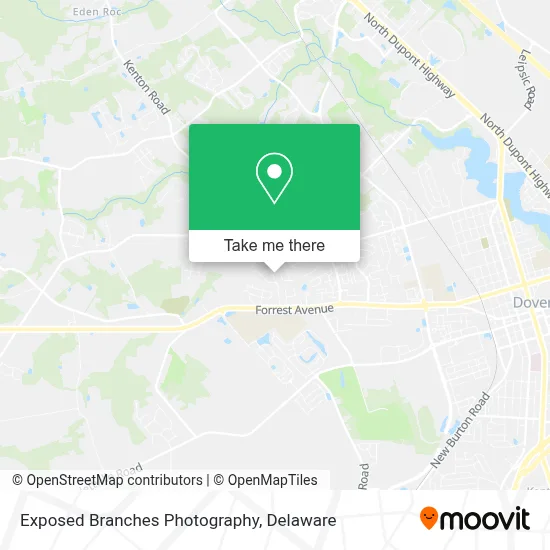 Exposed Branches Photography map