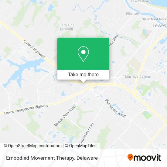 Embodied Movement Therapy map
