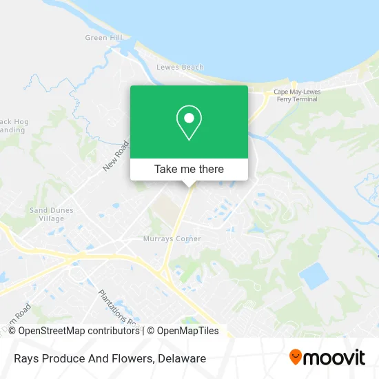 Rays Produce And Flowers map