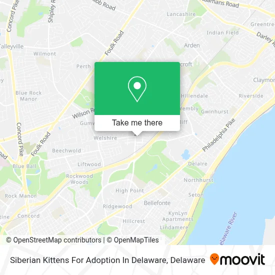 Siberian Kittens For Adoption In Delaware map