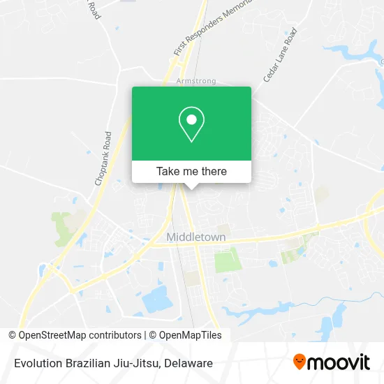 Evolution Brazilian Jiu-Jitsu map
