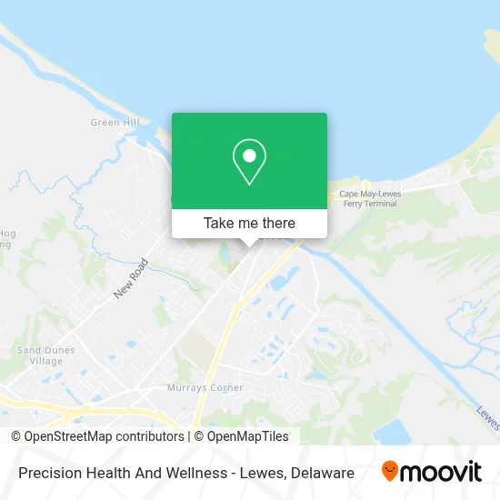 Precision Health And Wellness - Lewes map