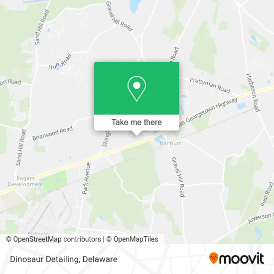 Dinosaur Detailing map