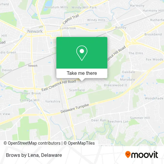 Brows by Lena map
