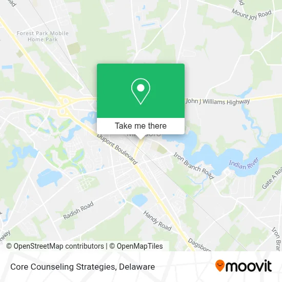 Core Counseling Strategies map