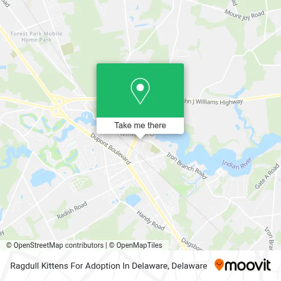Ragdull Kittens For Adoption In Delaware map