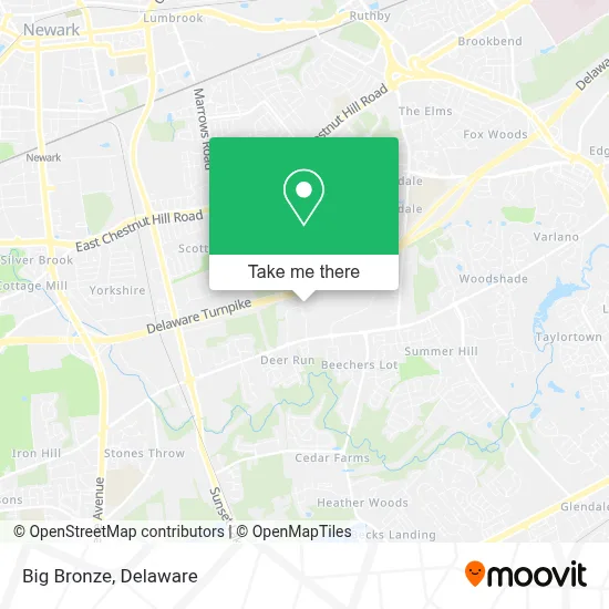 Big Bronze map