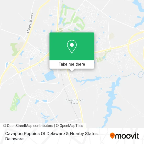 Cavapoo Puppies Of Delaware & Nearby States map