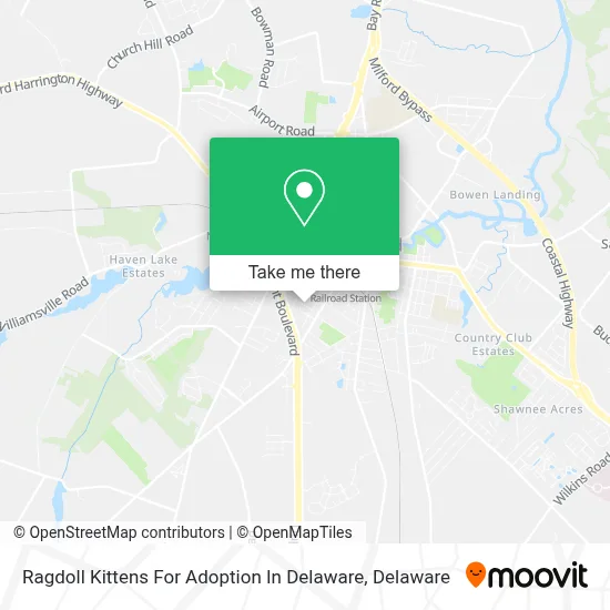 Ragdoll Kittens For Adoption In Delaware map