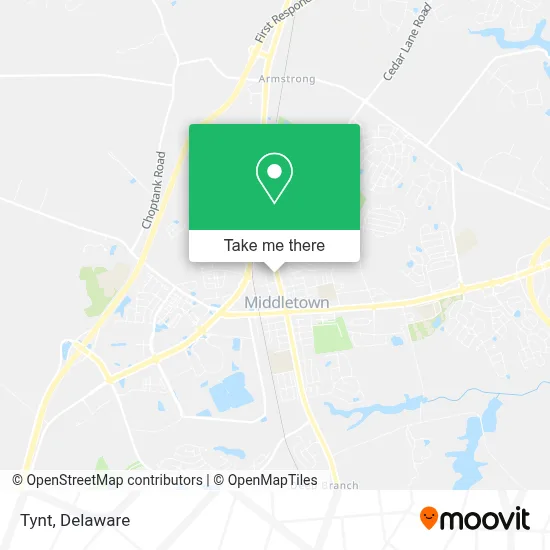 Tynt map