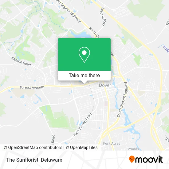 The Sunflorist map