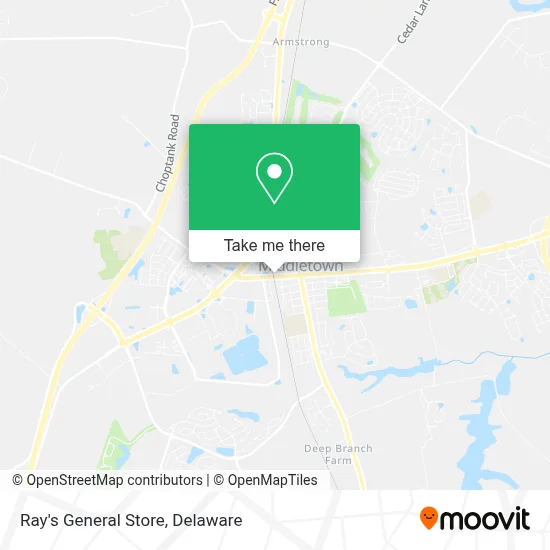 Ray's General Store map