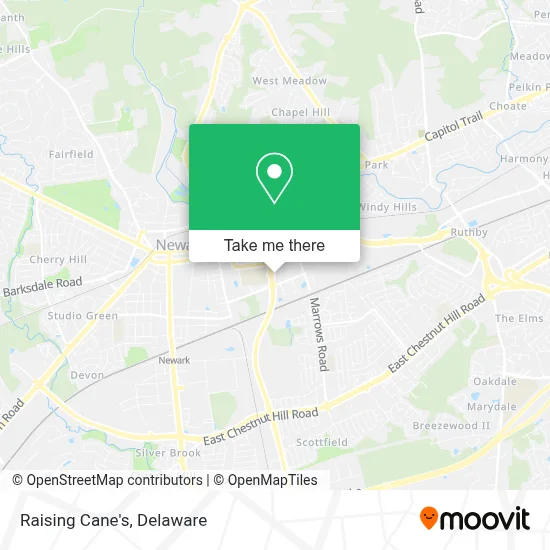Raising Cane's map