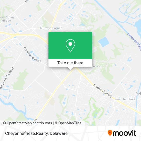 Cheyennefrieze.Realty map
