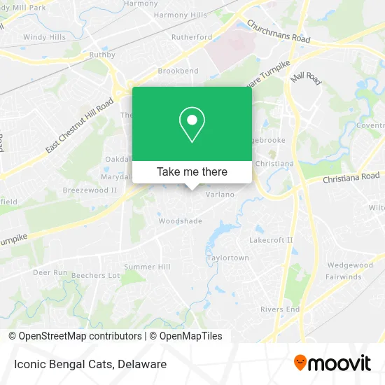 Iconic Bengal Cats map