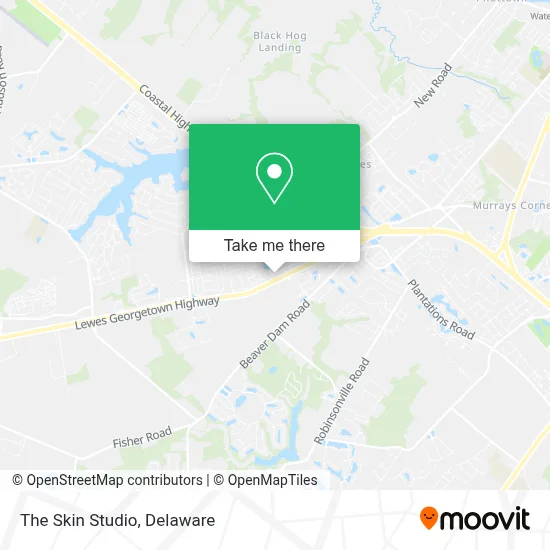 The Skin Studio map