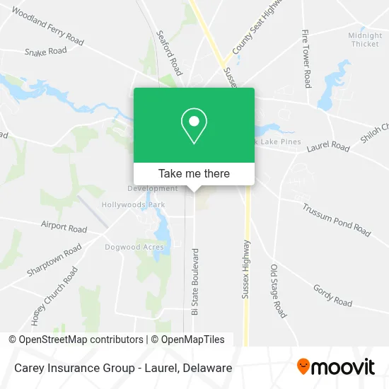 Carey Insurance Group - Laurel map